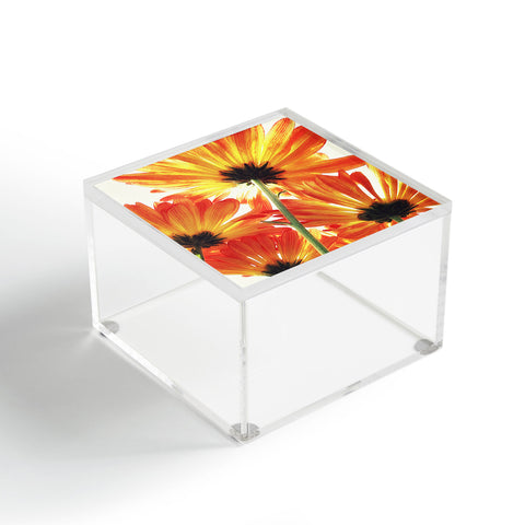 Shannon Clark Orange Daisies Acrylic Box