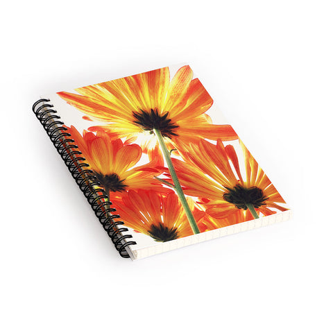 Shannon Clark Orange Daisies Spiral Notebook