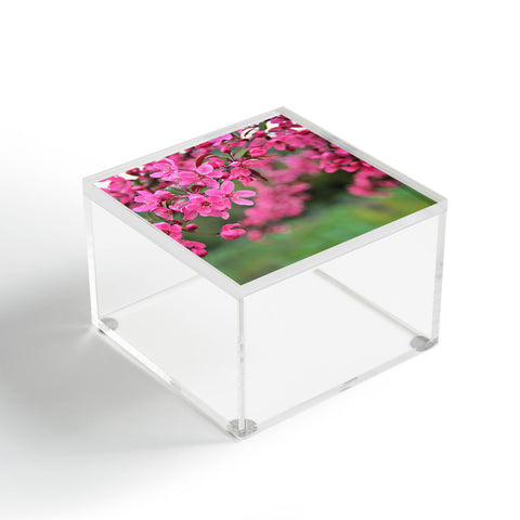 Shannon Clark Pink Perfection Acrylic Box
