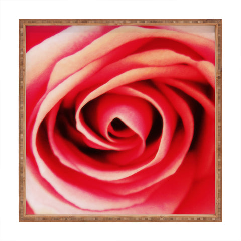 Shannon Clark Pink Rose 2 Square Tray