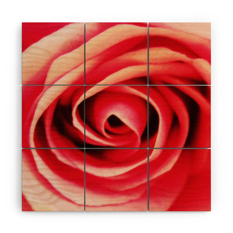 Shannon Clark Pink Rose 2 Wood Wall Mural