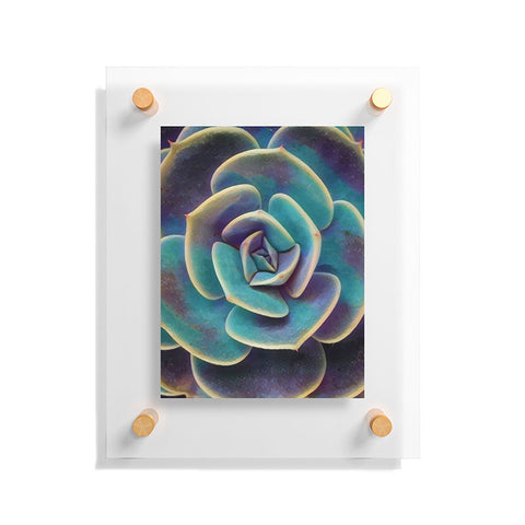 Shannon Clark Purple and Blue Succulent Floating Acrylic Print