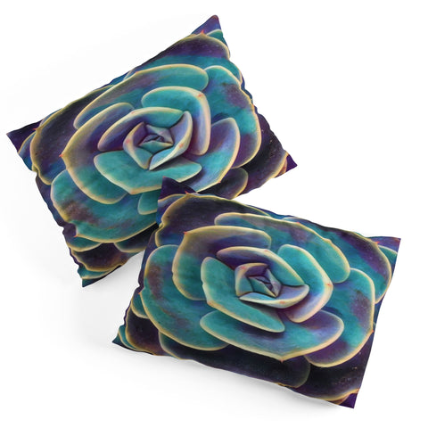 Shannon Clark Purple and Blue Succulent Pillow Shams
