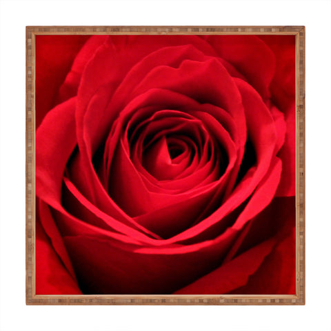 Shannon Clark Red Rose Square Tray