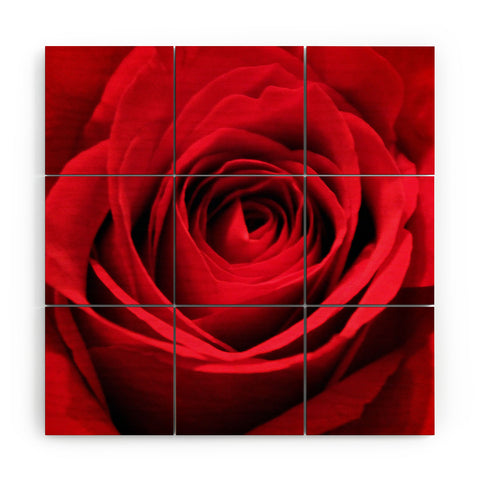 Shannon Clark Red Rose Wood Wall Mural