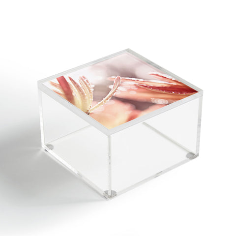 Shannon Clark Shimmer Acrylic Box