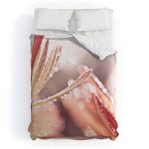 Shannon Clark Shimmer Comforter