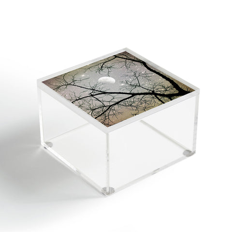 Shannon Clark Silver Sky Acrylic Box
