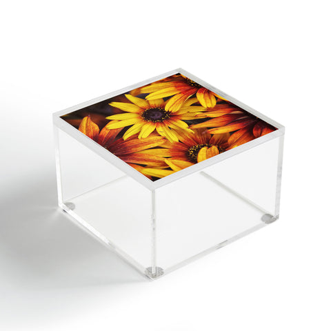 Shannon Clark Sunshine Petals Acrylic Box