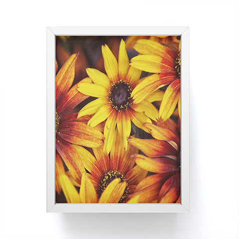 Shannon Clark Sunshine Petals Framed Mini Art Print