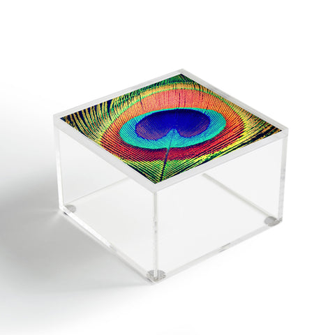 Shannon Clark The Eye Acrylic Box
