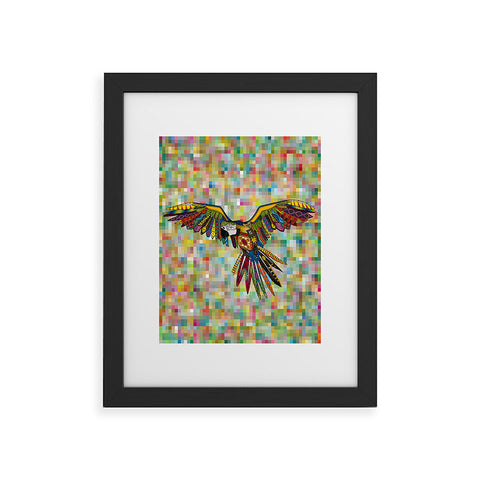 Sharon Turner Harlequin Parrot Framed Art Print