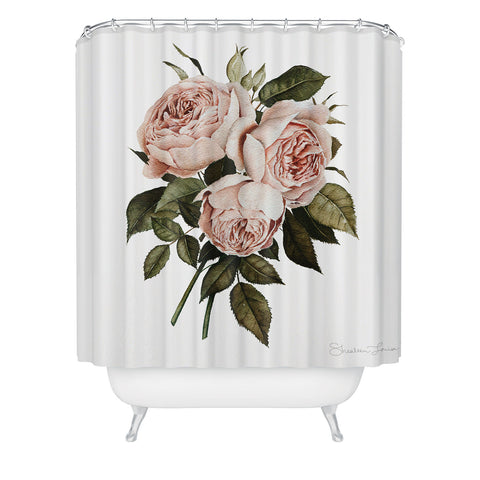 Shealeen Louise Three English Roses square Shower Curtain