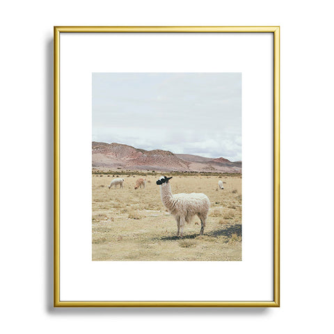 Sisi and Seb Alpacas Metal Framed Art Print