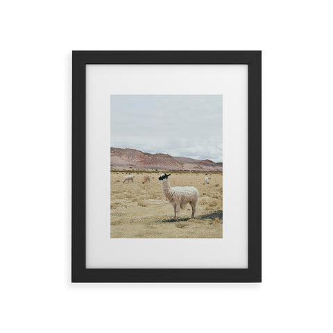 Sisi and Seb Alpacas Framed Art Print
