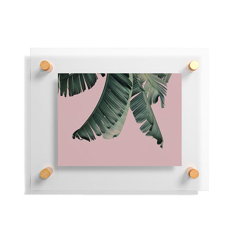 Sisi and Seb Banana Leaf Blush Floating Acrylic Print