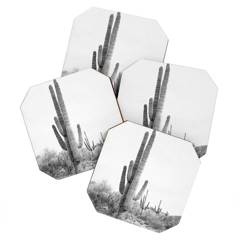 Sisi and Seb Desert Cactus BW Coaster Set