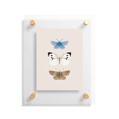 Sisi and Seb English Butterflies Floating Acrylic Print