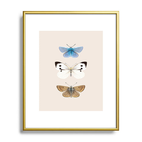 Sisi and Seb English Butterflies Metal Framed Art Print