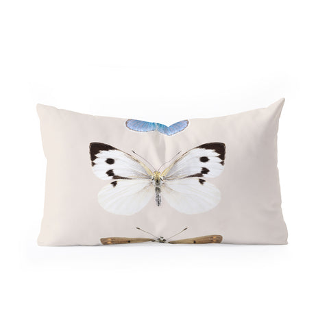 Sisi and Seb English Butterflies Oblong Throw Pillow
