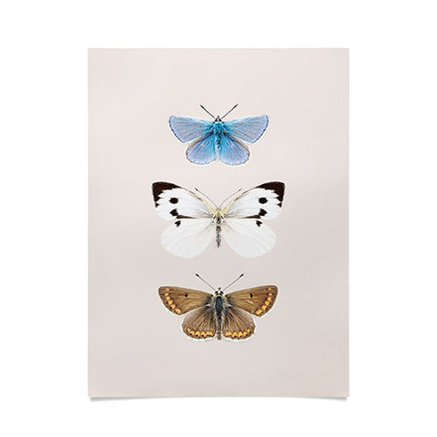 Sisi and Seb English Butterflies Poster