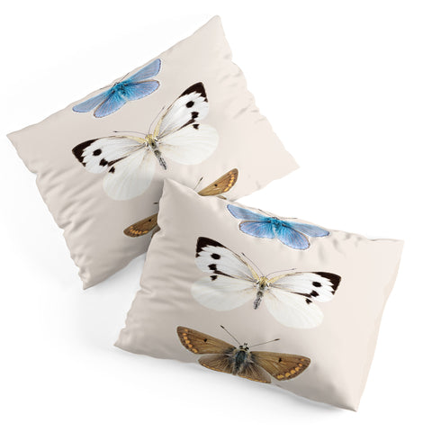 Sisi and Seb English Butterflies Pillow Shams