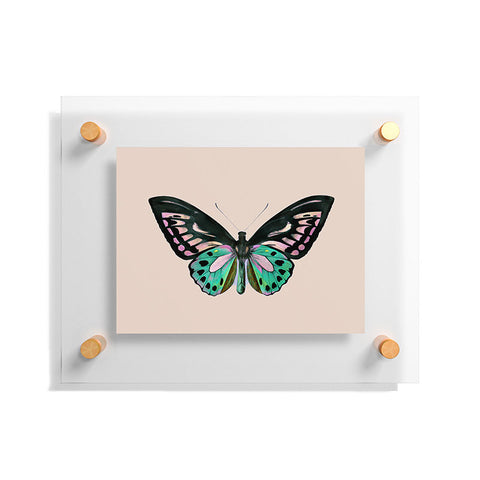 Sisi and Seb Funky Butterfly Floating Acrylic Print