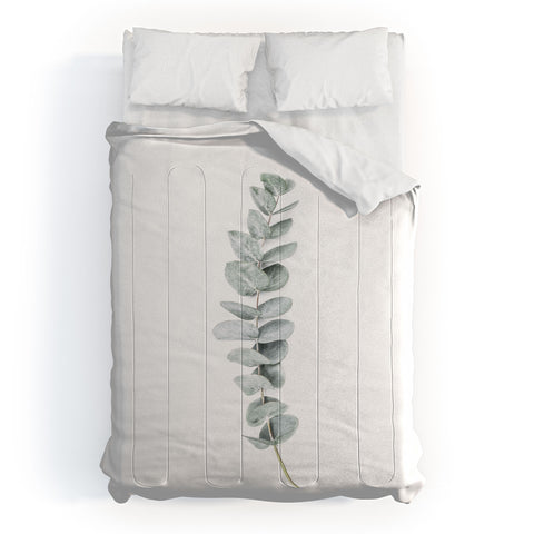 Sisi and Seb Mint Eucalyptus Comforter