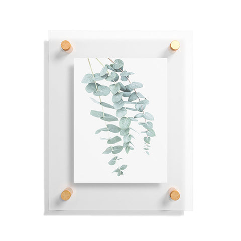 Sisi and Seb Mint Eucalyptus II Floating Acrylic Print