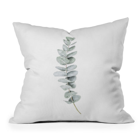 Sisi and Seb Mint Eucalyptus Throw Pillow