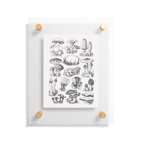 Sisi and Seb Mushroom Collection I Floating Acrylic Print