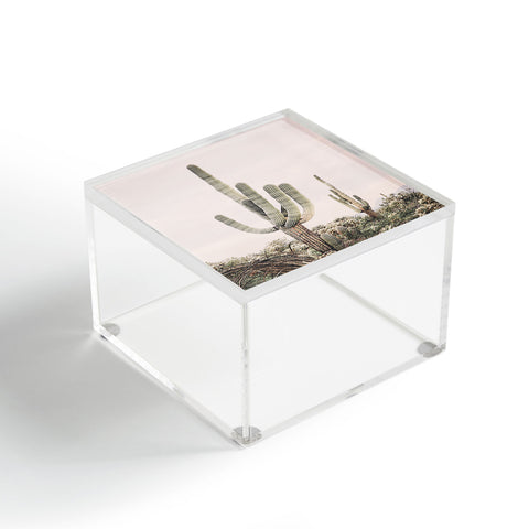Sisi and Seb Pastel Pink Cactus Acrylic Box