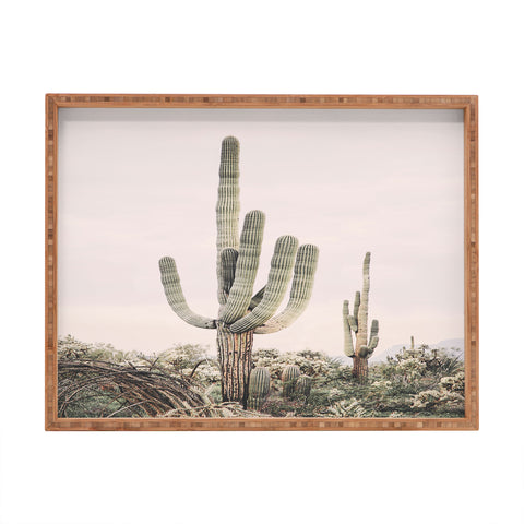 Sisi and Seb Pastel Pink Cactus Rectangular Tray