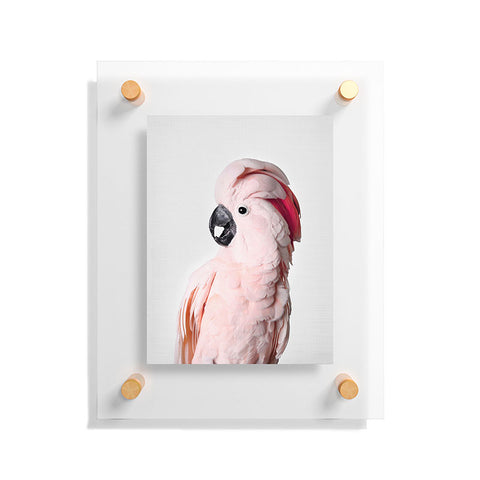 Sisi and Seb Pink Cockatoo Floating Acrylic Print