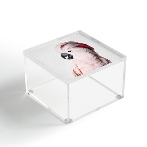 Sisi and Seb Pink Cockatoo Acrylic Box