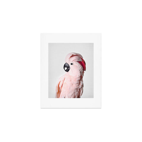 Sisi and Seb Pink Cockatoo Art Print