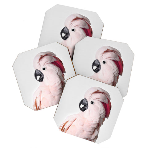 Sisi and Seb Pink Cockatoo Coaster Set