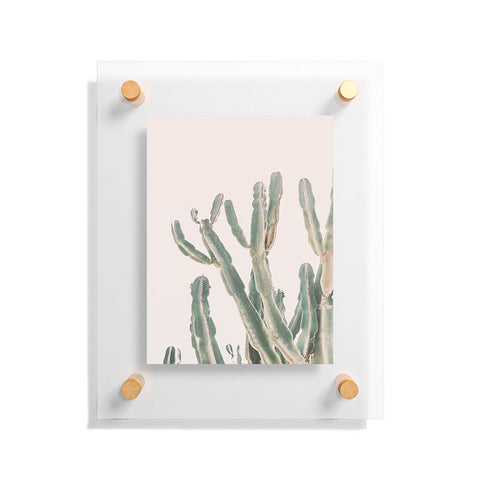 Sisi and Seb Sunrise Cactus Floating Acrylic Print