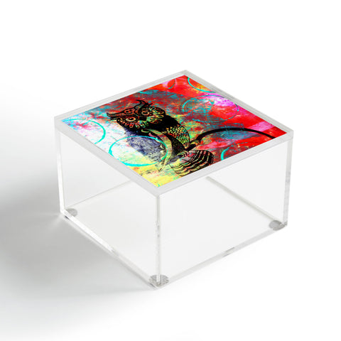 Sophia Buddenhagen Color Owl Acrylic Box