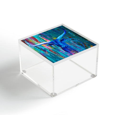 Sophia Buddenhagen Longhorn Blues Acrylic Box