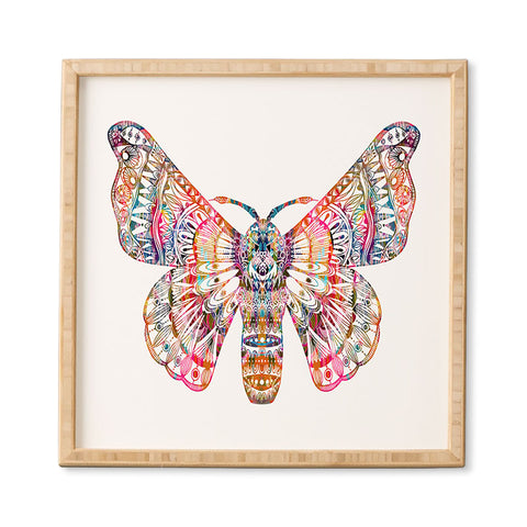 Stephanie Corfee Artsy Moth Framed Wall Art