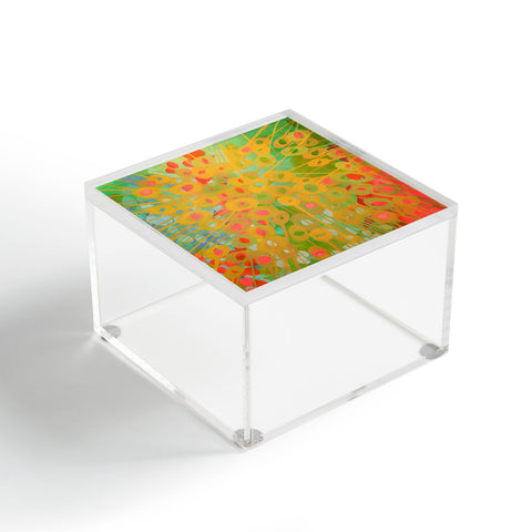 Stephanie Corfee Sundrops 1 Acrylic Box