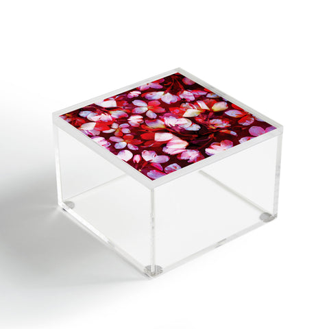 Susanne Kasielke Cherry Blossoms Red Acrylic Box