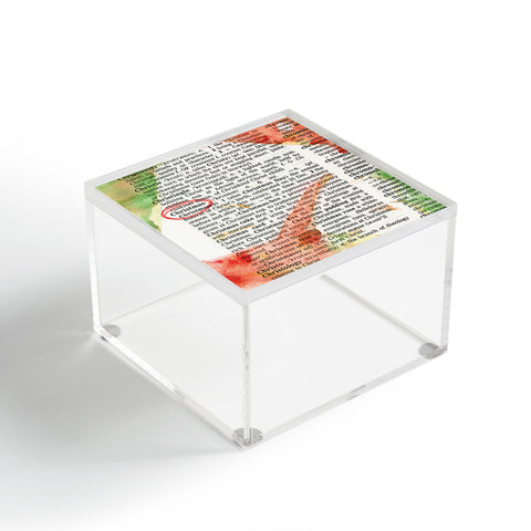 Susanne Kasielke Christmas Dictionary Art Acrylic Box