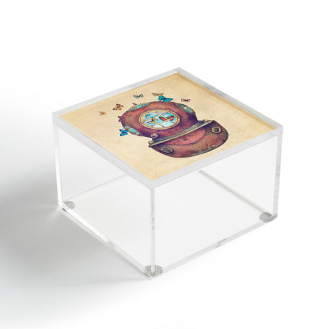 Terry Fan Inner Space Acrylic Box