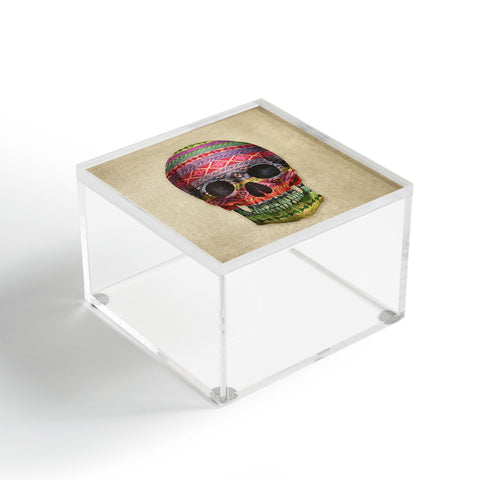 Terry Fan Navajo Skull Acrylic Box