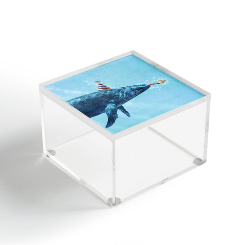 Terry Fan Party Whale Acrylic Box