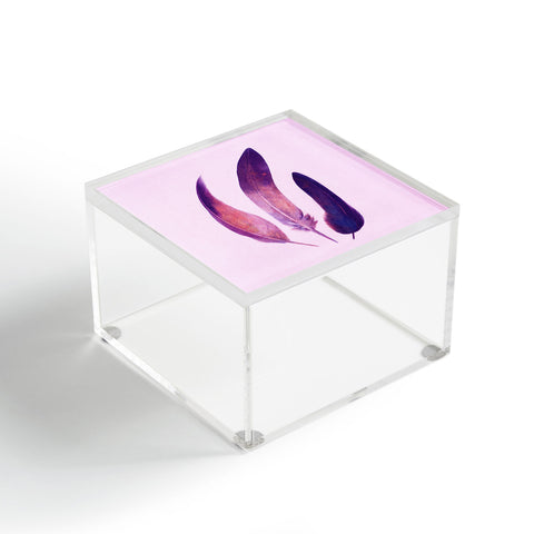 Terry Fan Purple Feathers Acrylic Box