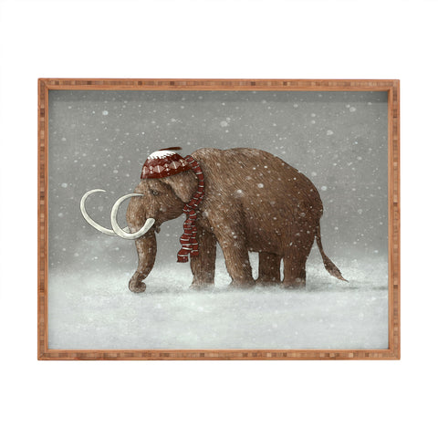 Terry Fan The Ice Age Sucked Rectangular Tray