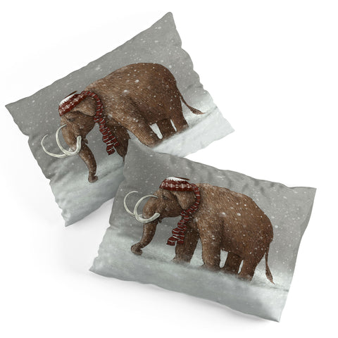 Terry Fan The Ice Age Sucked Pillow Shams